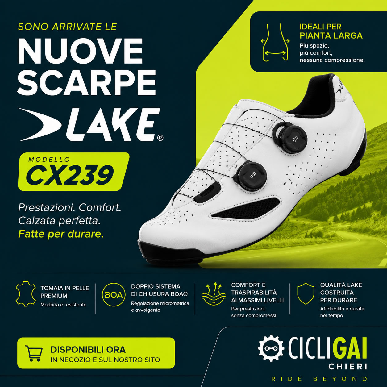 Scarpe Lake